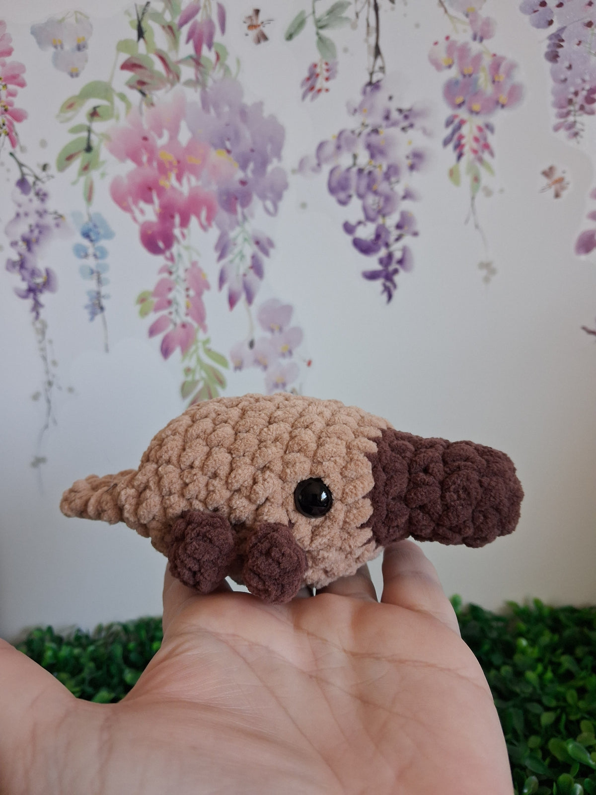 Platypus