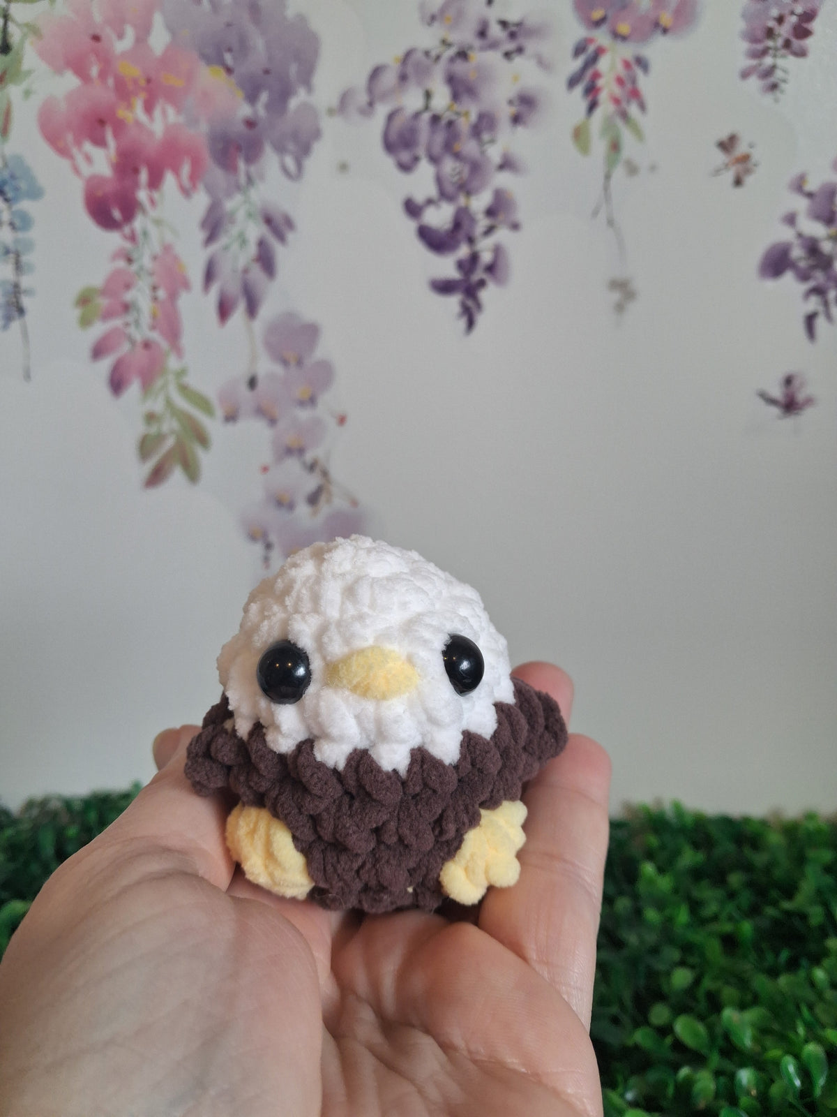 Baby eagle