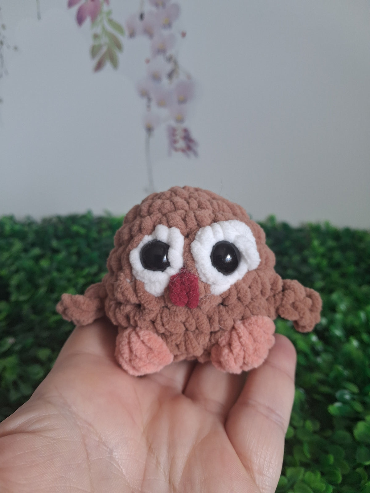 Owls