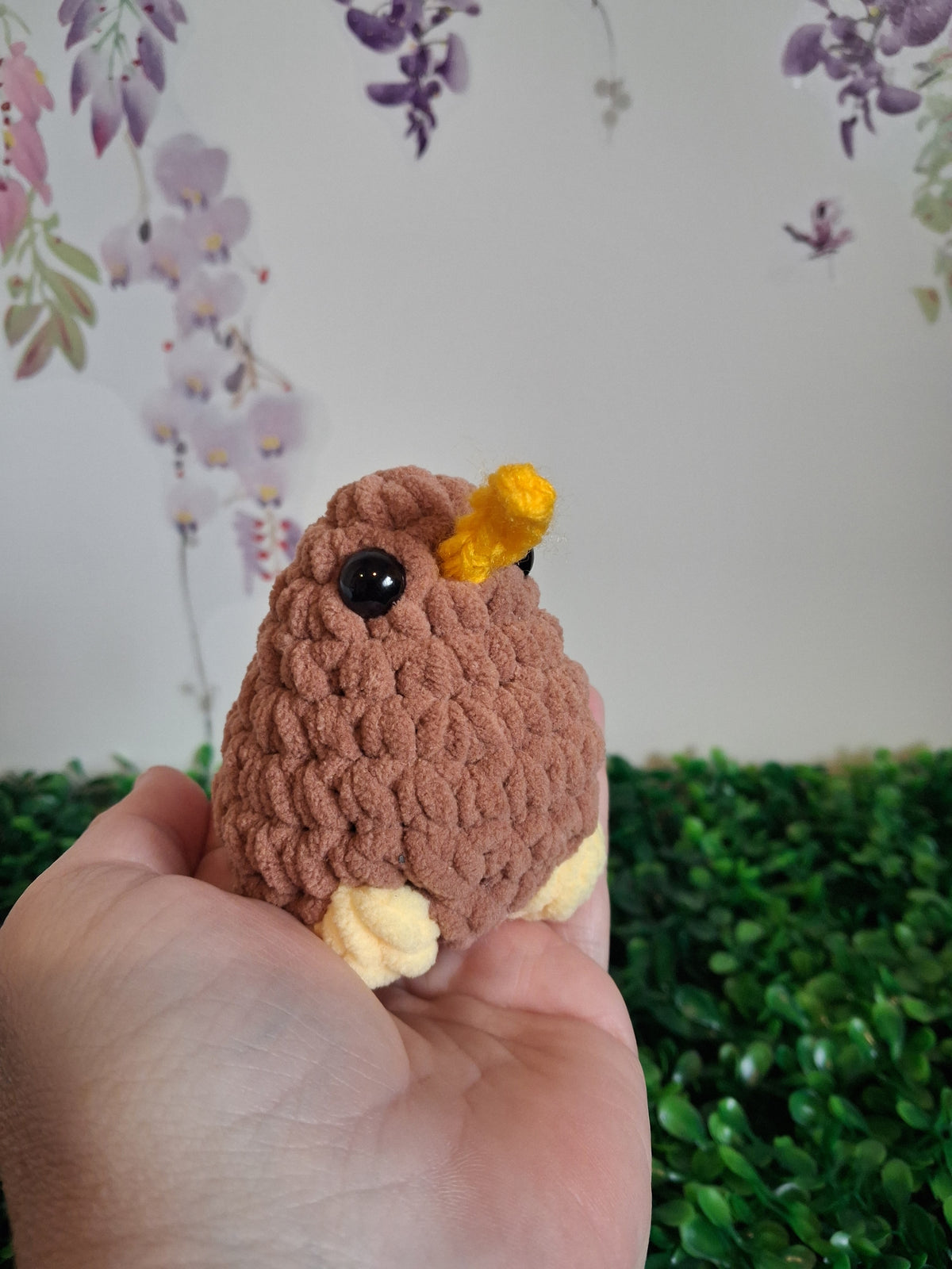 Kiwi bird