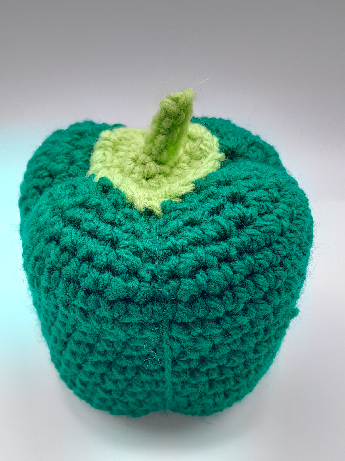 Capsicum