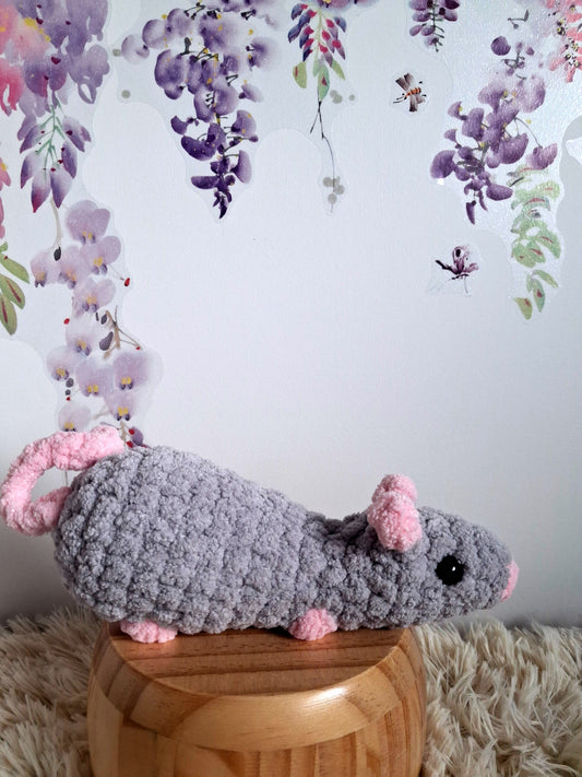 Rat