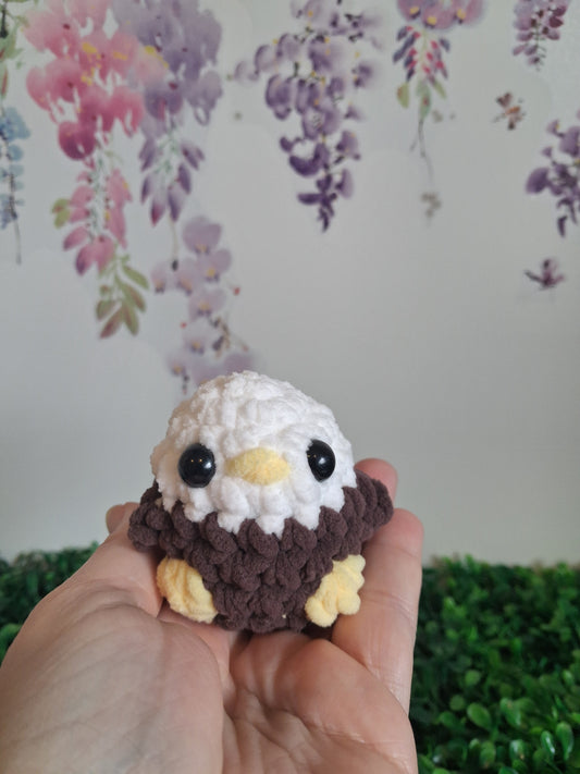 Baby eagle