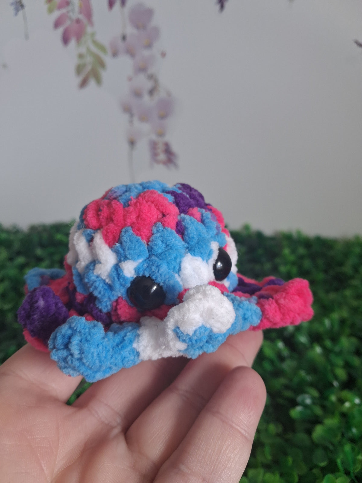 Octo
