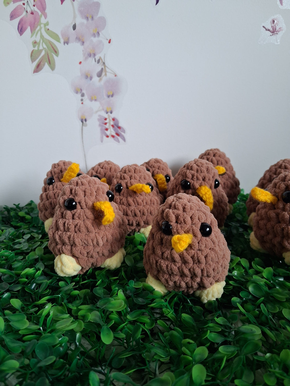 10 kiwi birds