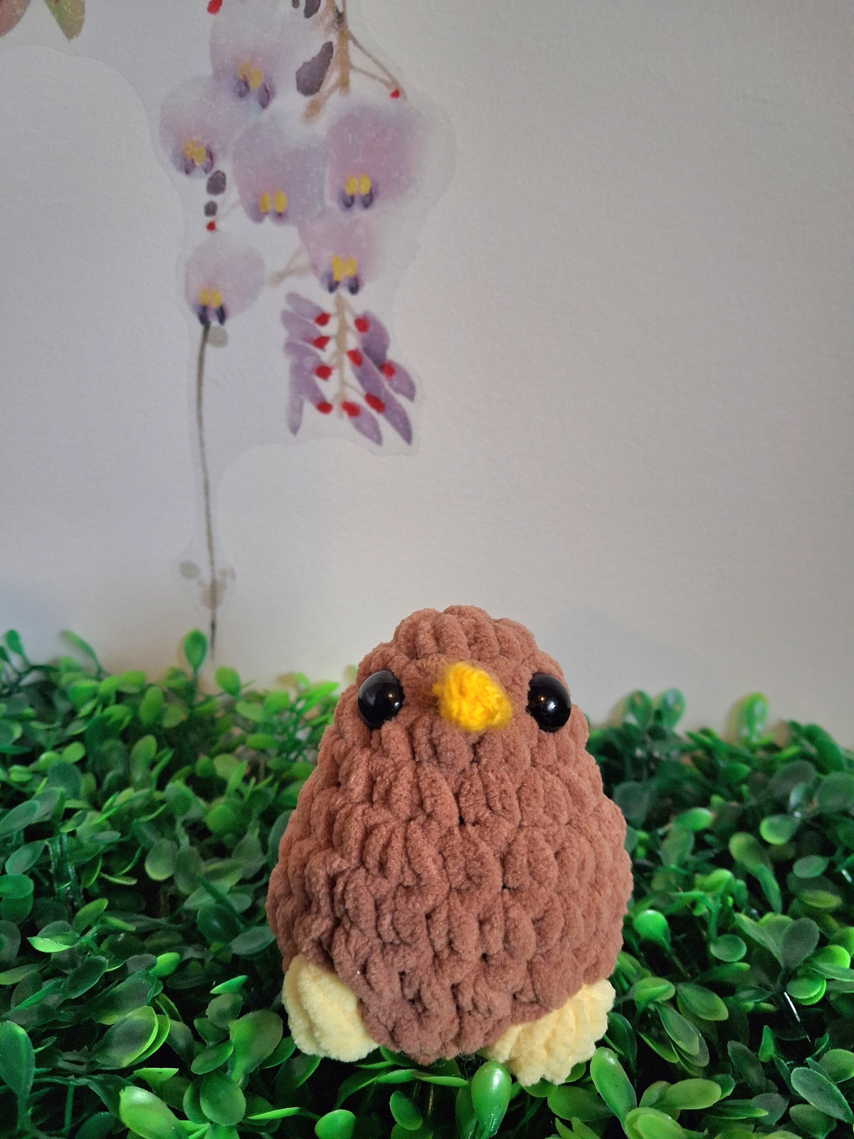 Kiwi bird