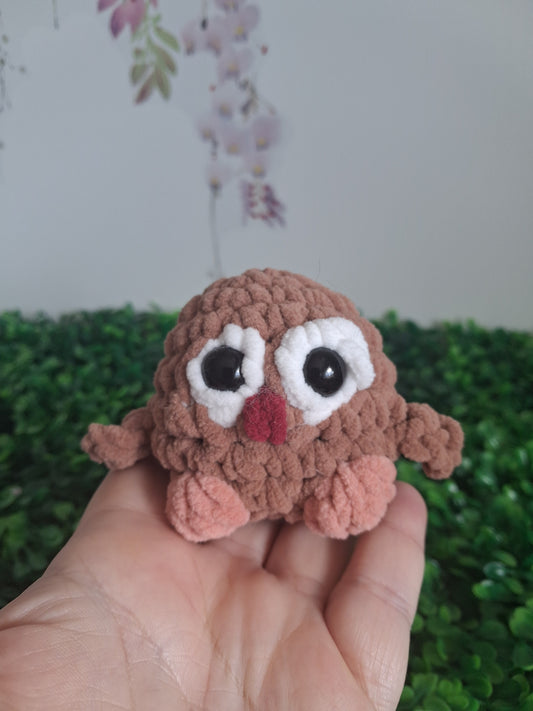 Owls
