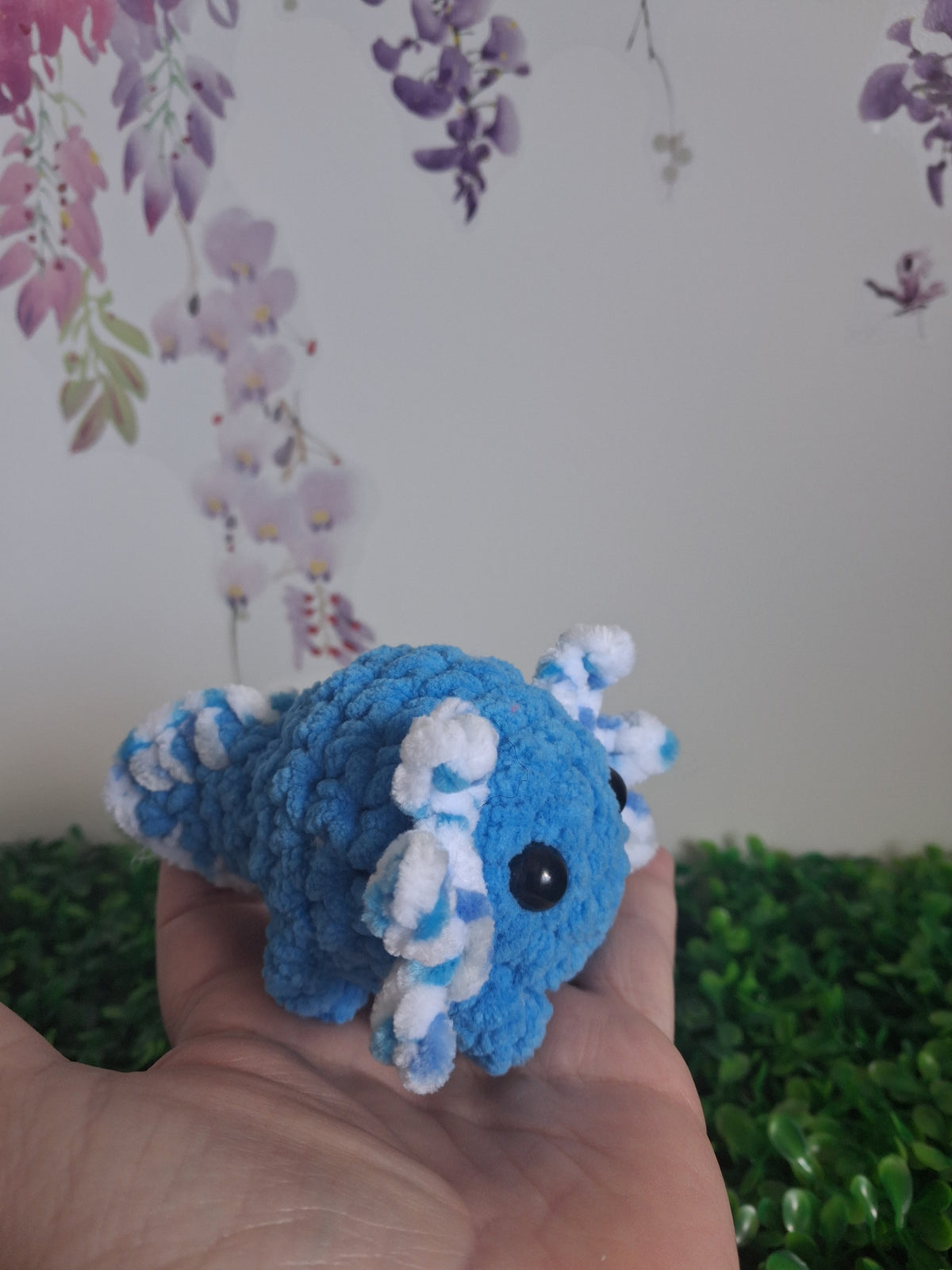Axolotl