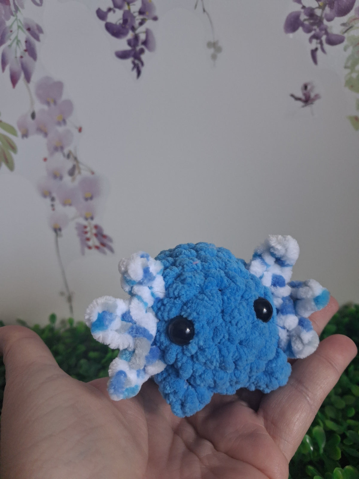 Axolotl