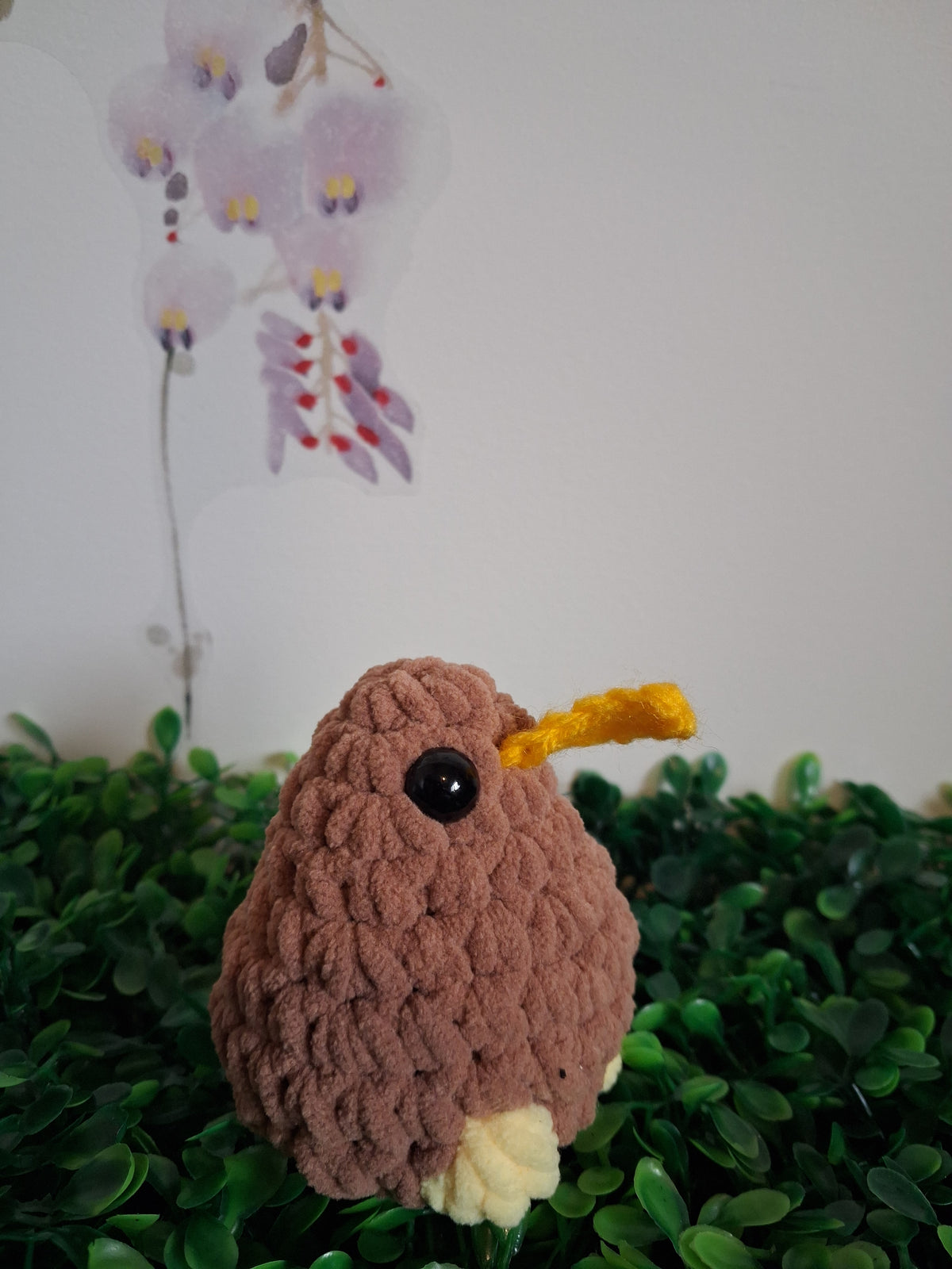 Kiwi bird
