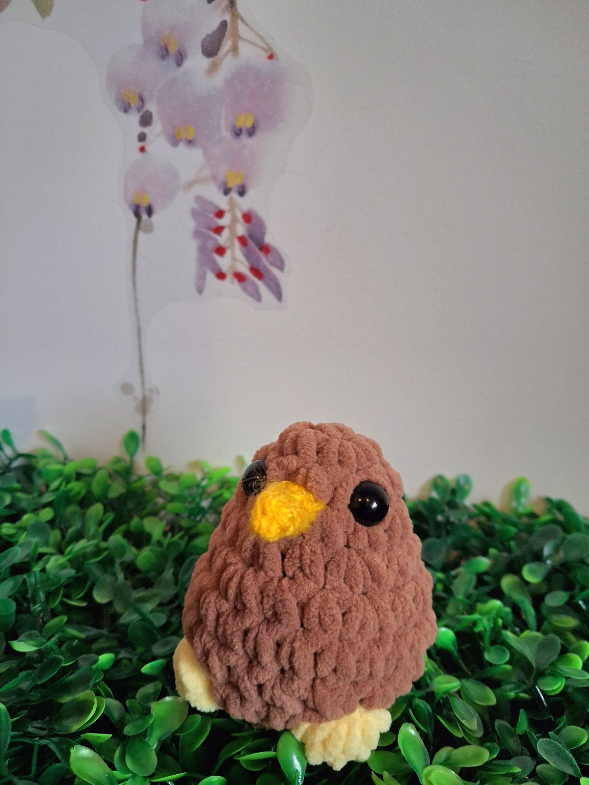 Kiwi bird