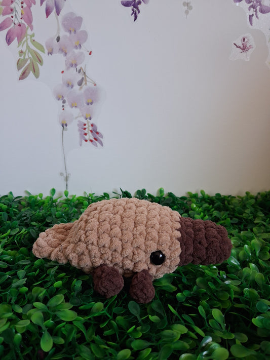 Platypus